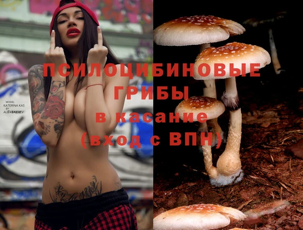 МДПВ Зерноград